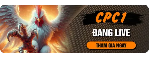 PBV88 Agency – Casino Trực Tuyến Uy Tín | Slot, Live, Thể Thao - spinvexa68.surf