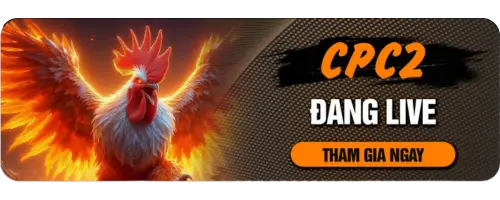 PBV88 Agency – Casino Trực Tuyến Uy Tín | Slot, Live, Thể Thao - spinvexa68.surf
