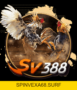 PBV88 Agency – Casino Trực Tuyến Uy Tín | Slot, Live, Thể Thao - spinvexa68.surf